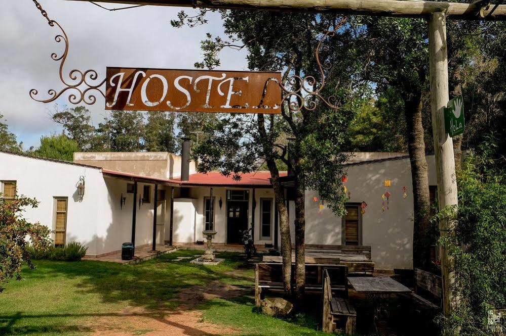 Hostel Punta Ballena Bar Punta del Este Exterior photo